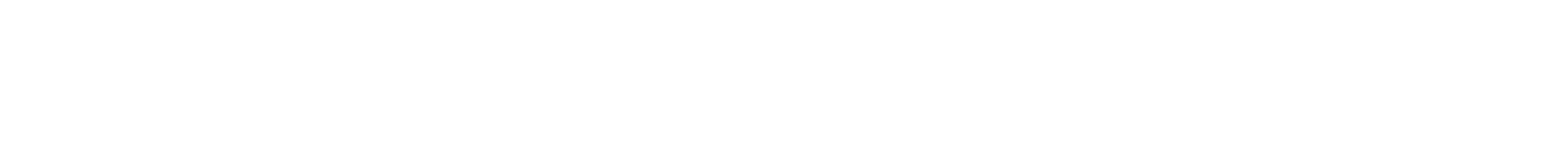 brightshore-global-investment-bgi-high resolution-logo